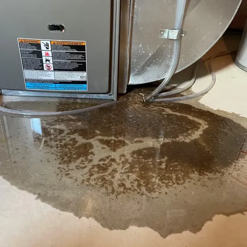 Appliance Leak Cleanup in Centerville, PA